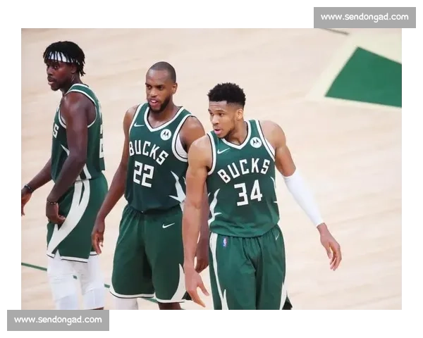 NBA季后赛球迷指南：支持主队的必备知识